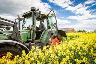 Foto: Mann in Traktor auf Rapsfeld